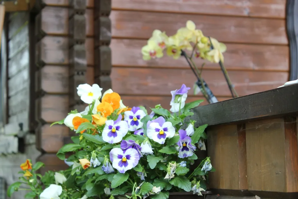 Campingplatz_Frielendorf