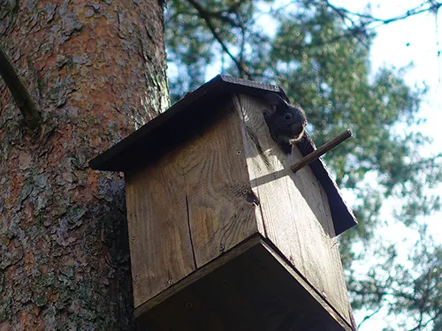 Campingplatz_Niegripper_See