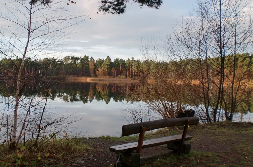 D_rings_Campingplatz___8220_AM_TONSEE__8221_