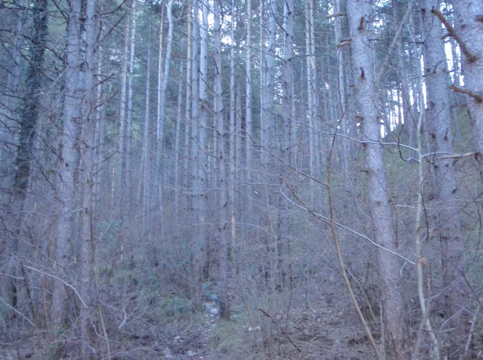 Area_Camper_Brussa_Oasi