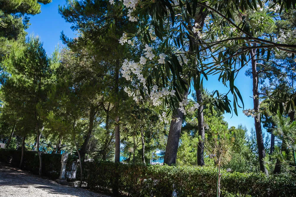 Camping_Villaggio_Internazionale