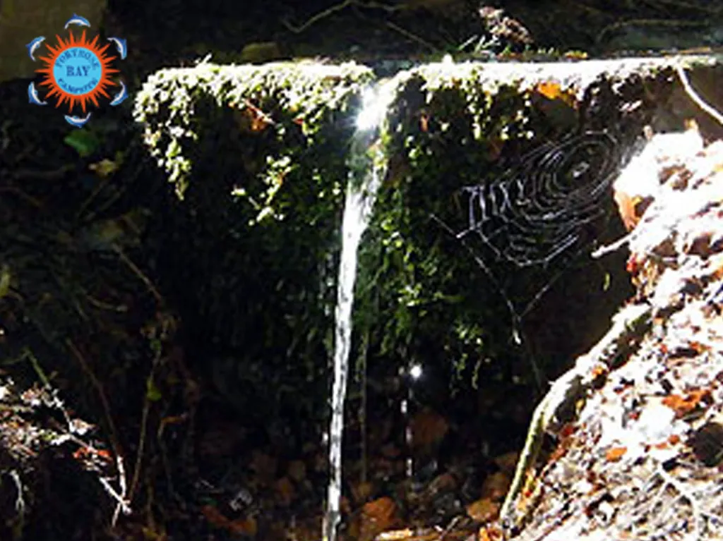 Fortrose_Bay_Campsite