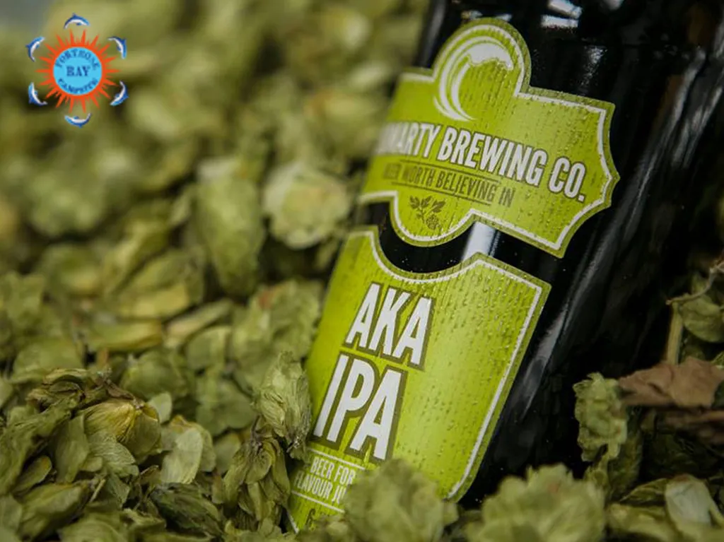 Fortrose_Bay_Campsite