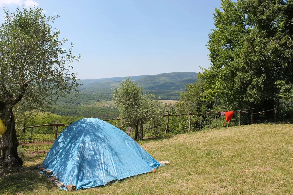 Motovun_Camping