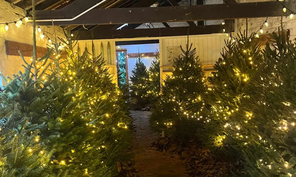 Normanby_Hall_Country_Park