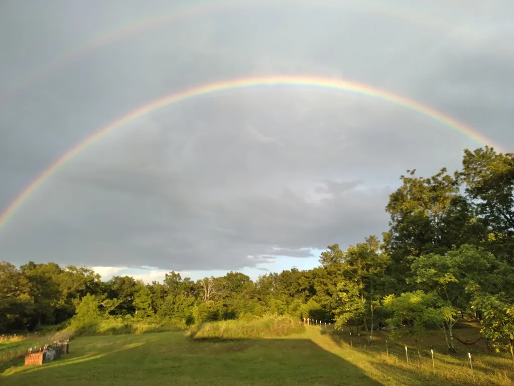 Pettigrew_RV_Park_and_Recreational_Campground