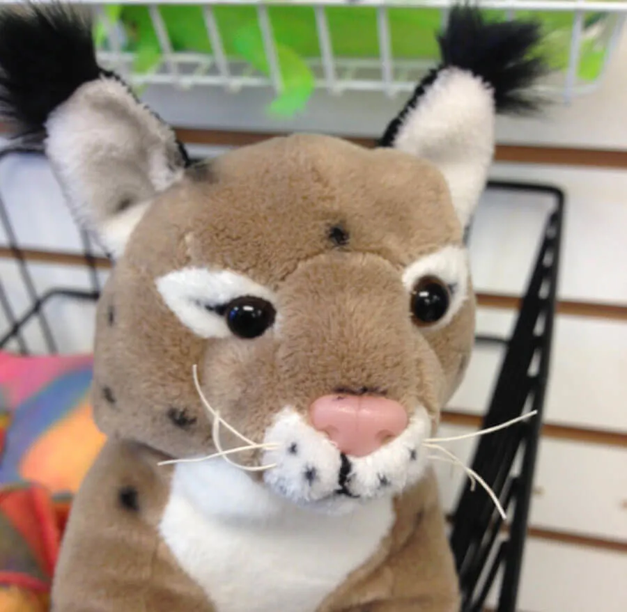 Sawgrass_Recreation_Park