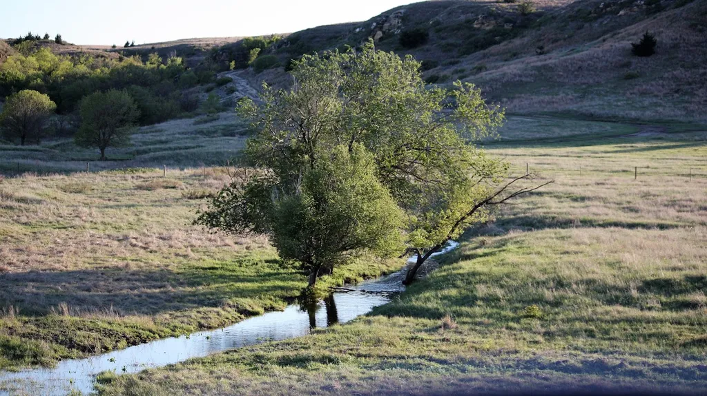 C2T_Ranch_and_Campground