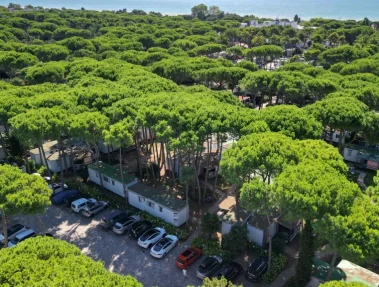 Camping_Residence_Il_Tridente