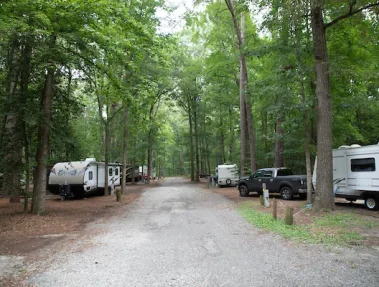 Delaware_Seashore_State_Park_South_Campground