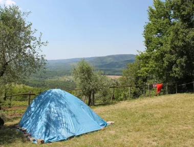 Motovun_Camping