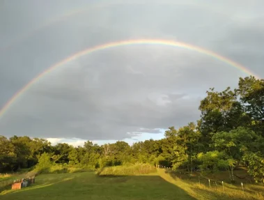 Pettigrew_RV_Park_and_Recreational_Campground