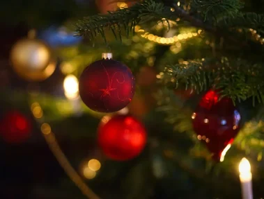 West_Virginia_Adventures_Campground