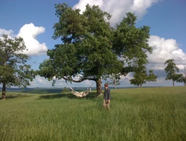 Wilderness_Rider_Buffalo_Ranch_and_Adventure_Park